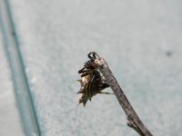 2011-08-14_00096.jpg