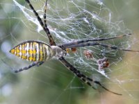 2011-09-20_00017.jpg