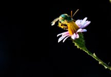 28th July 2015 038.JPG