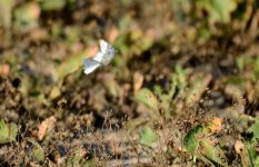 28th July 2015 008.JPG