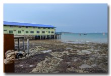 koh-larn1-ype (2).jpg