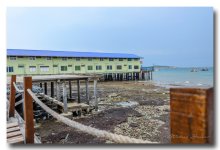 koh-larn1-ype (3).jpg