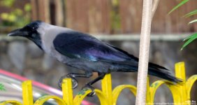 FSC_7962.jpg