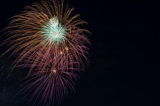 DSC_0021.jpg