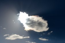 29th July 2015 001.JPG