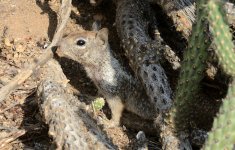 30th July 2015 035.JPG