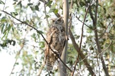 30th July 2015 013.JPG