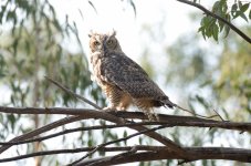 30th July 2015 023.JPG