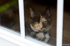 DSC_2886.jpg
