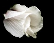 _DSC6232-Edit-Edit-Edit-2.jpg