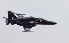hawk.jpg
