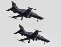 hawk2.jpg