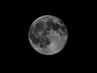 DSCN9469.jpg