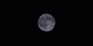 Blue Moon2.jpg