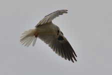 31st July 2015 015.JPG