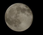 31st July 2015 035.JPG