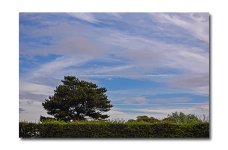 DSC_0757.jpg