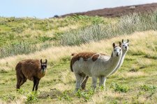 DSC_3821.jpg