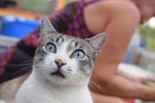 DSC_0824.jpg