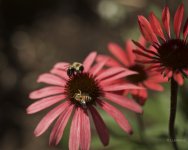 _AAA5922 - Version 4.jpg