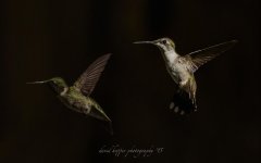 hummer stack-2.jpg