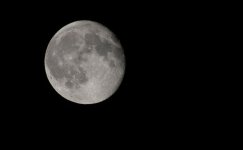 Waning Gibbous.jpg