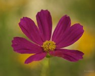 _AAA5910 - Version 2.jpg
