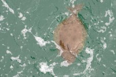 1st and 2nd Aug 2015 021.JPG