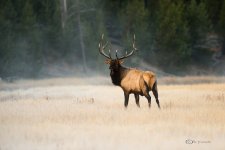 DSC_1505.jpg