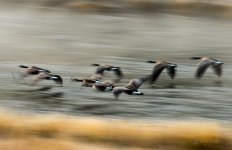 DSC_1465.jpg