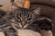 DSC_1146.jpg
