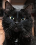 DSC_1153.jpg