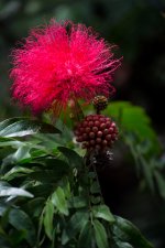 DSC_0017.jpg