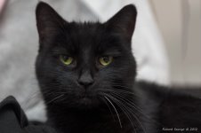 DSC_1163.jpg