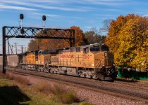 DSC_1193.jpg