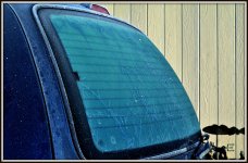 SNOW 004.JPG