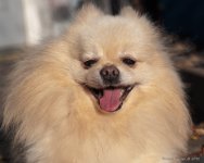 DSC_1218.jpg