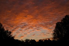 Morning Sunrise.jpg