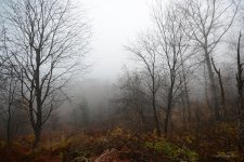 DSC_0525.jpg