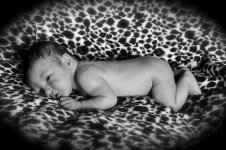 nicholas1_edited-1.jpg