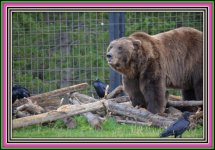 DSC_0607.JPG