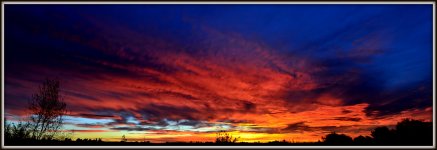 SUNRISE S 072 Stitch.jpg