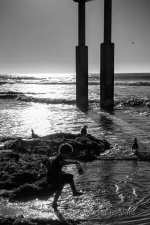 D8A_0100-Edit-sm.jpg