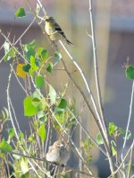 1st and 2nd Aug 2015 106.JPG