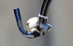 1st and 2nd Aug 2015 118.JPG