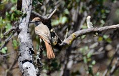 1st and 2nd Aug 2015 131.JPG