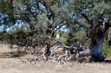 1st and 2nd Aug 2015 134.JPG