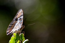 1st and 2nd Aug 2015 137.JPG