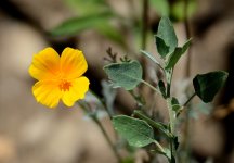 1st and 2nd Aug 2015 155.JPG