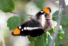 1st and 2nd Aug 2015 166.JPG